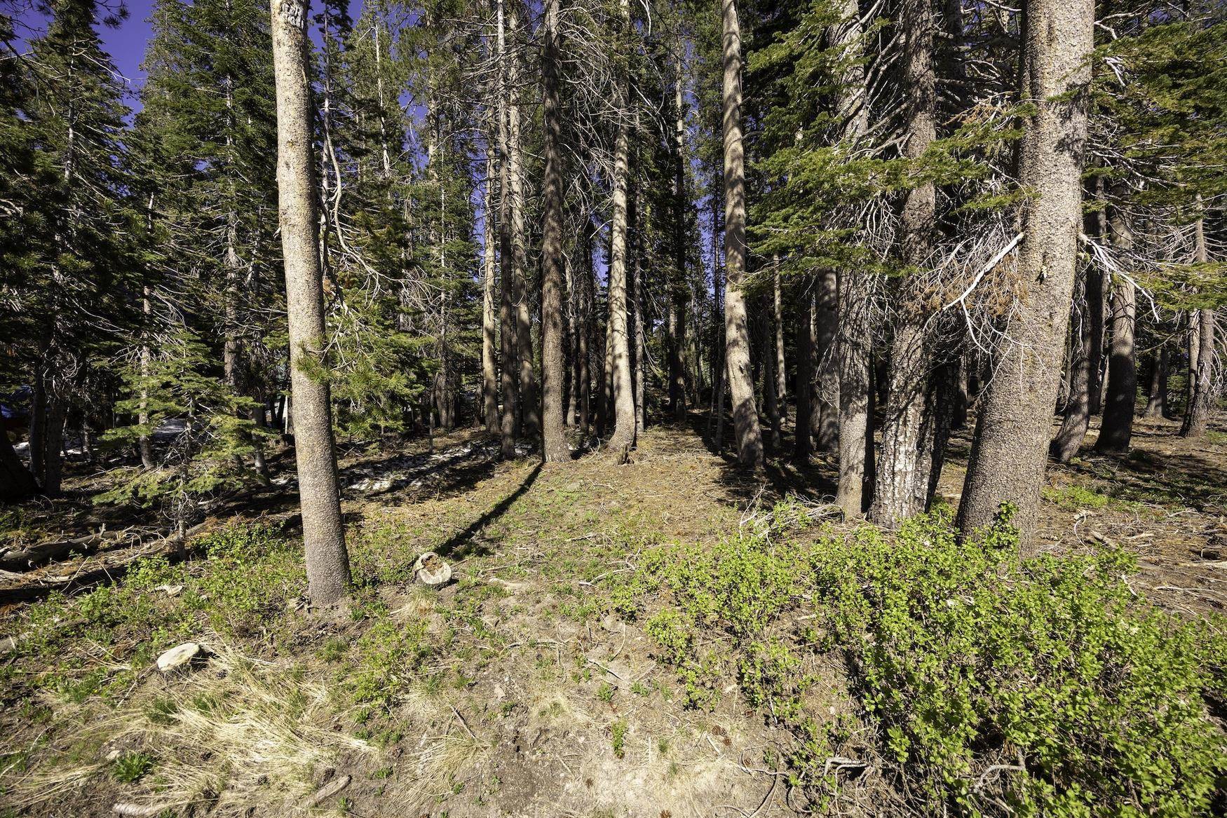 Soda Springs, CA 95728-0000,6636 Yuba Drive