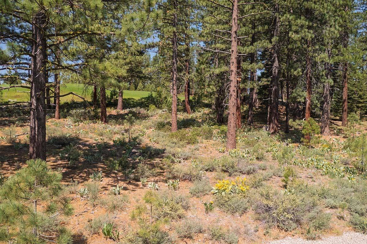 Truckee, CA 96161,13316 Snowshoe Thompson Circle