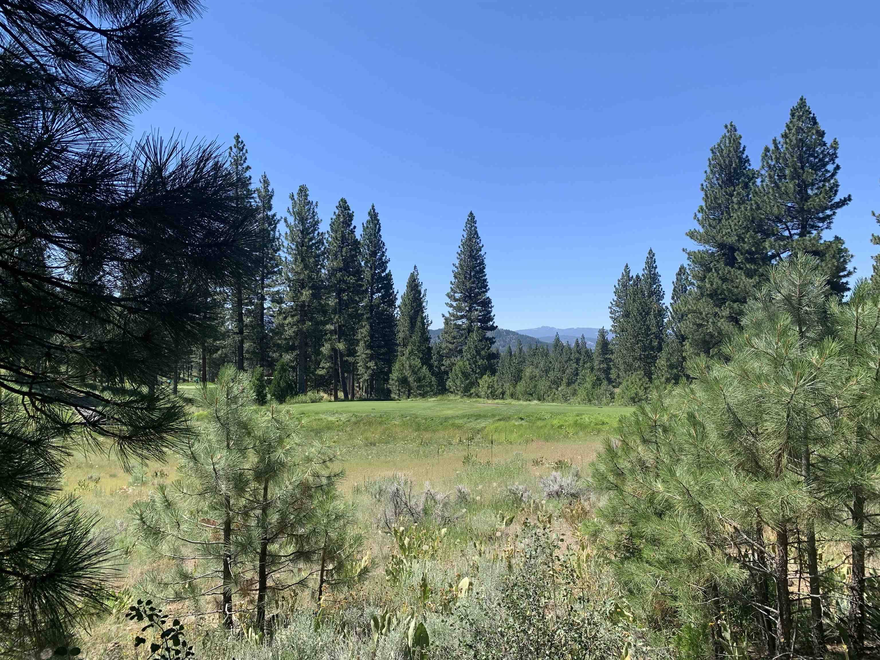 Portola, CA 96122,300 Grizzly Ranch Road