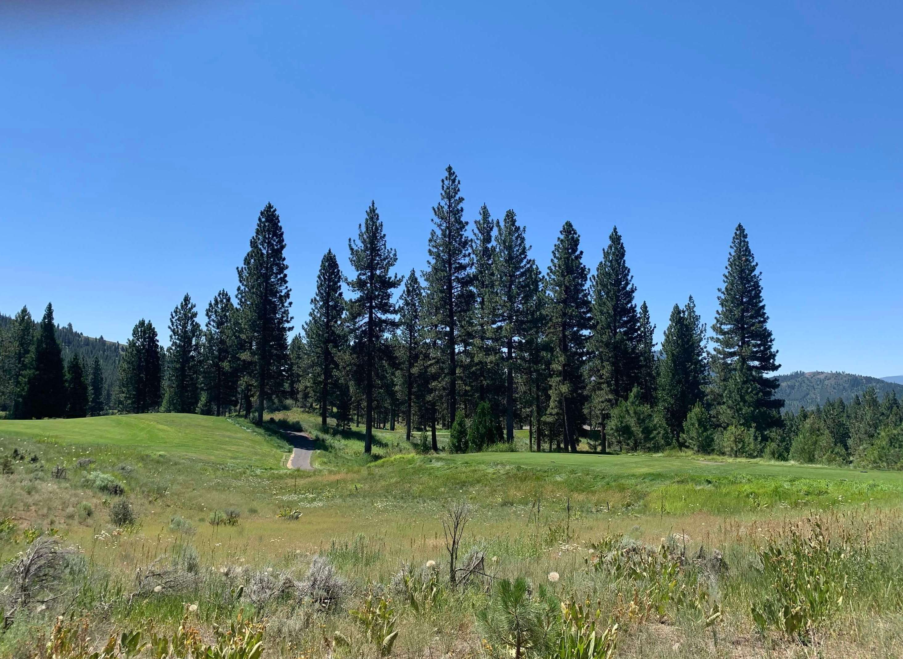 Portola, CA 96122,300 Grizzly Ranch Road