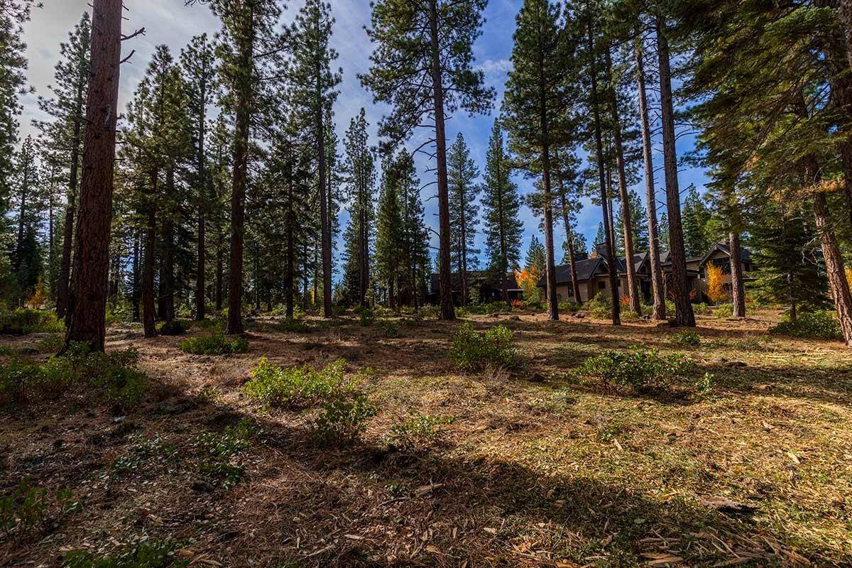 Truckee, CA 96161,11326 Elle Ellen