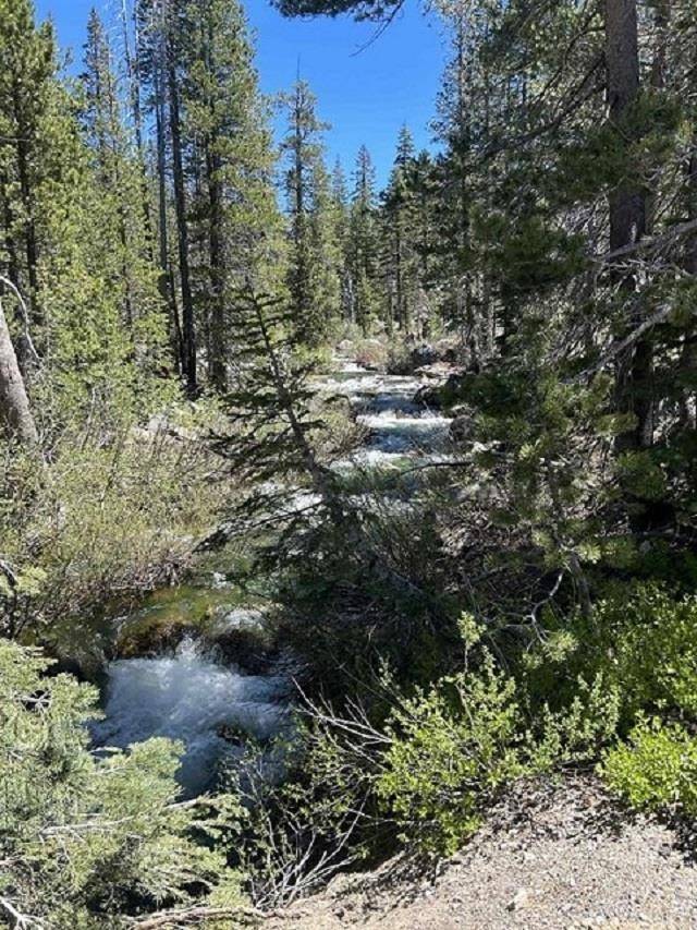 Soda Springs, CA 95728,20954 Donner Pass Road