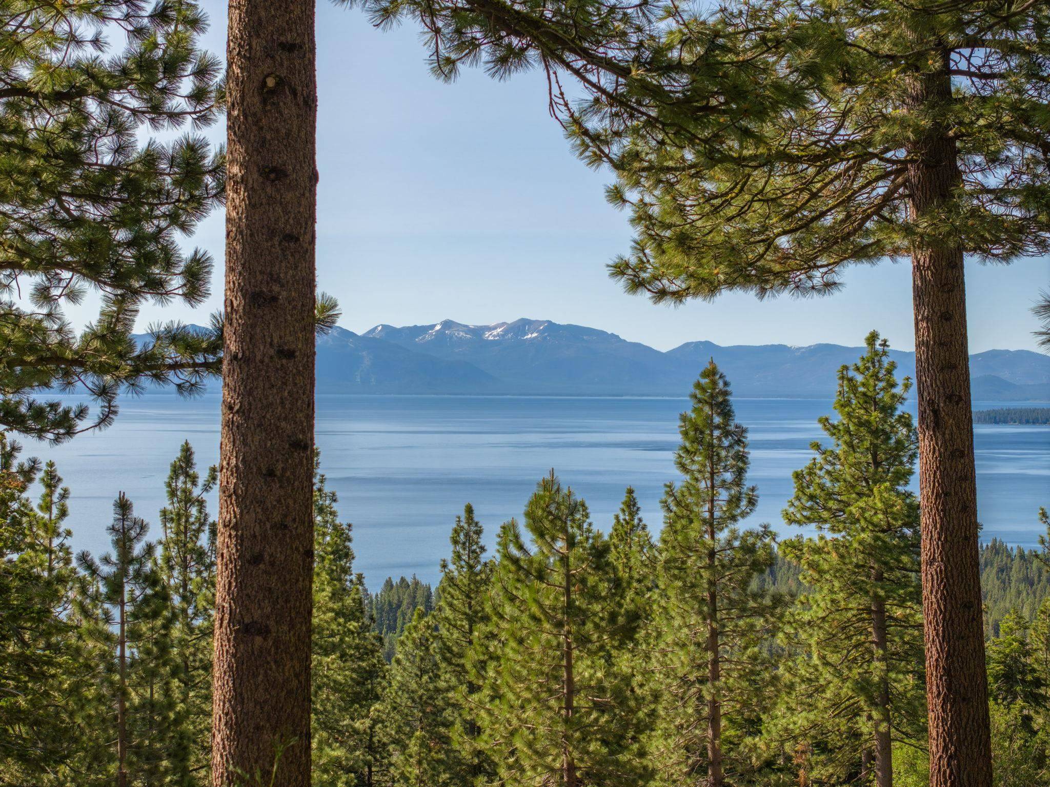 Tahoe City, CA 96145,1120 Big Pine Drive