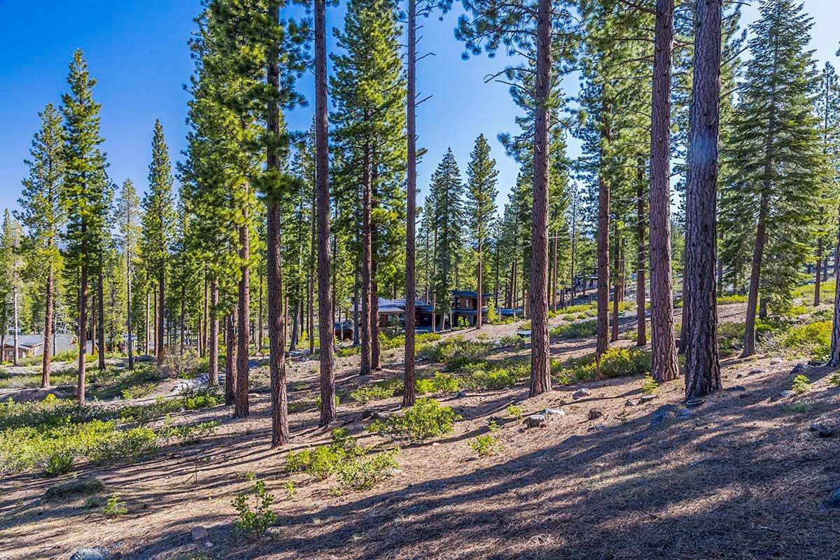 Truckee, CA 96161,8107 Fallen Leaf Way