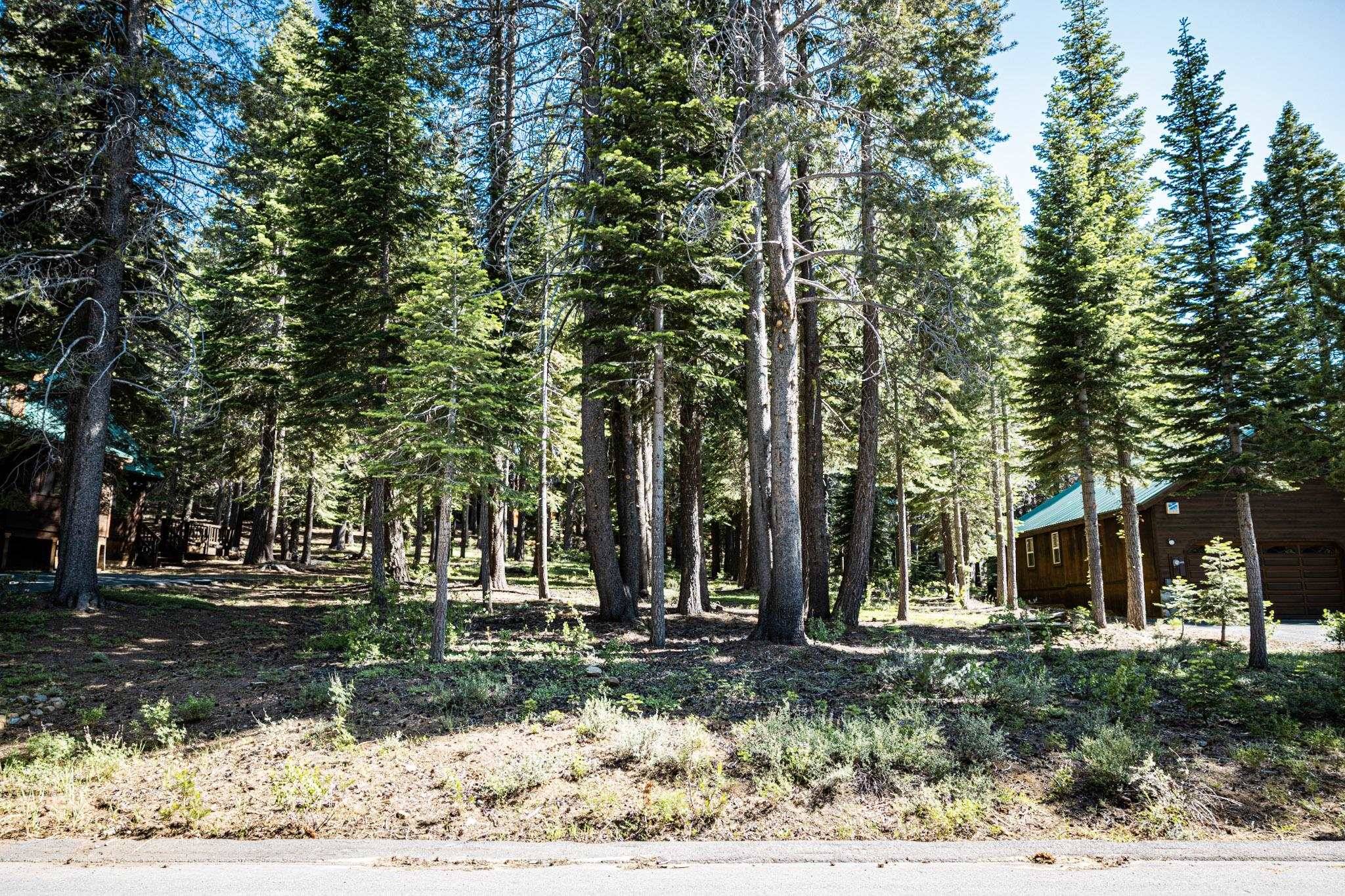Truckee, CA 96161,10529 Mougle Lane