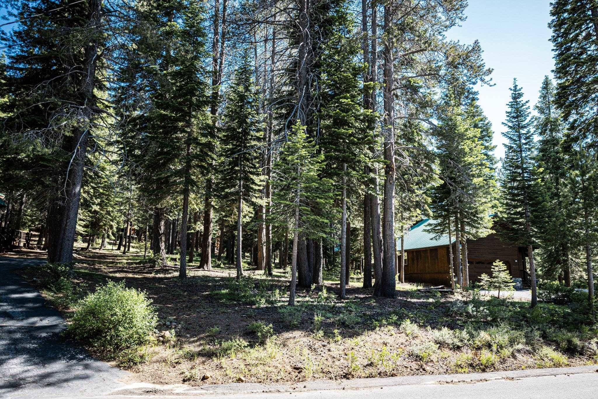 Truckee, CA 96161,10529 Mougle Lane