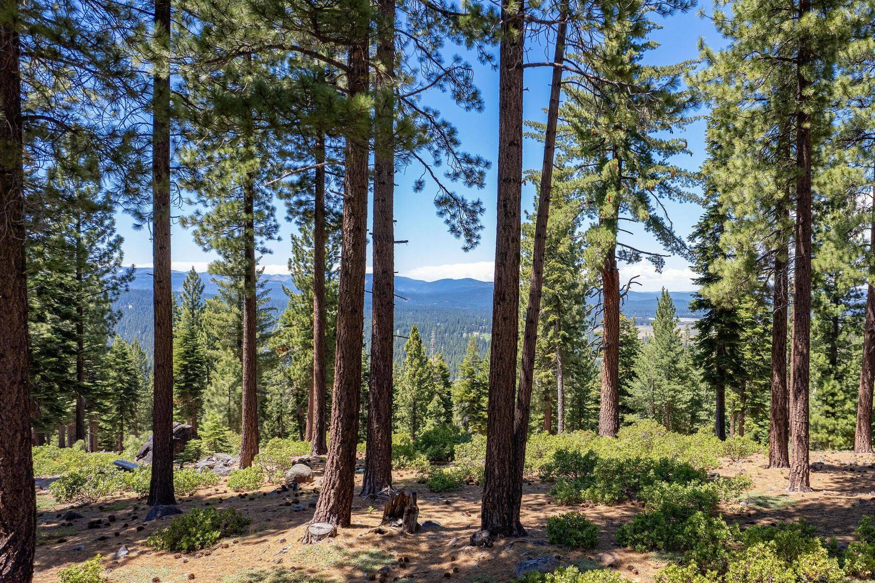 Truckee, CA 96161,1937 Gray Wolf