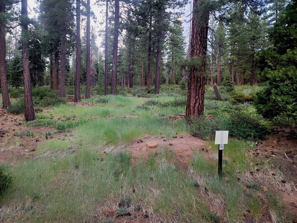 Kings Beach, CA 96143-0000,8651 Speckled Avenue