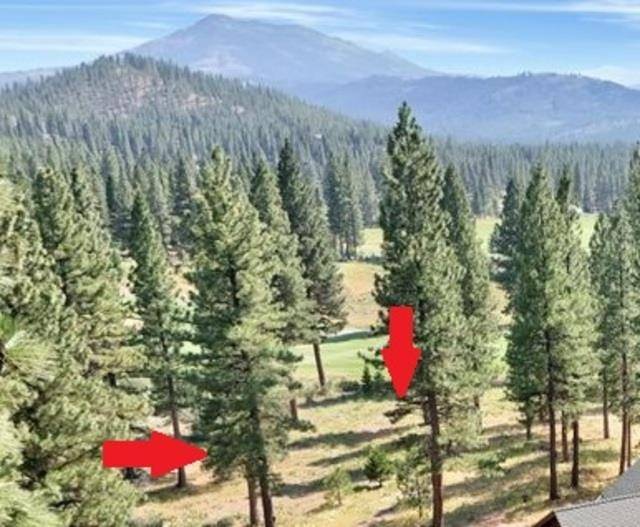 Portola, CA 96122,126 Sorrel Lane