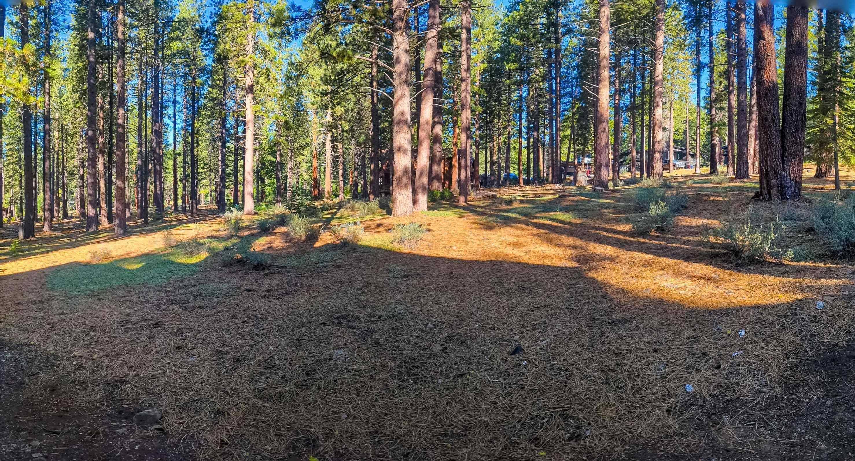 Truckee, CA 96161,11561 Bottcher Loop