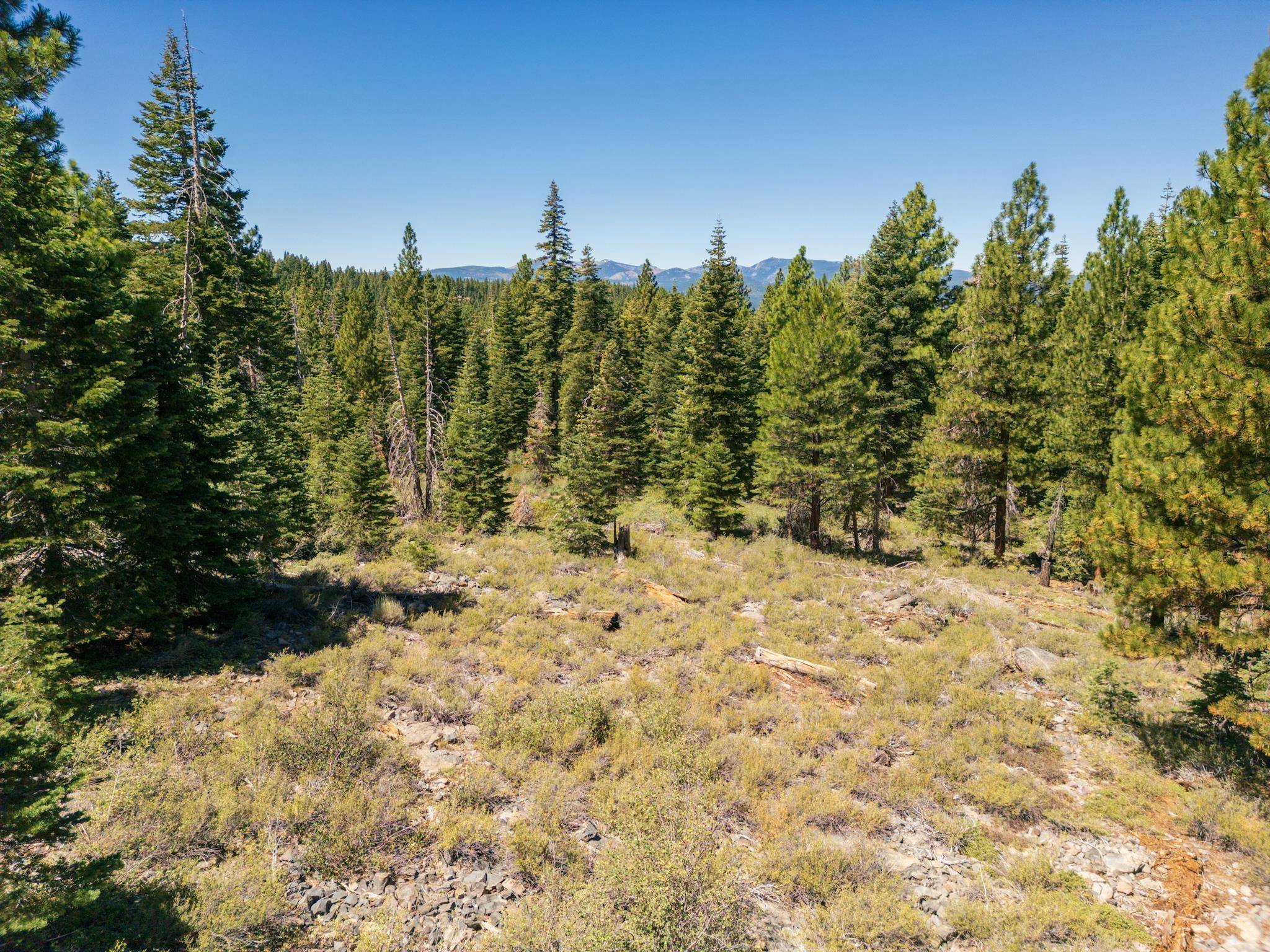 Truckee, CA 96161,12064 Somerset Drive
