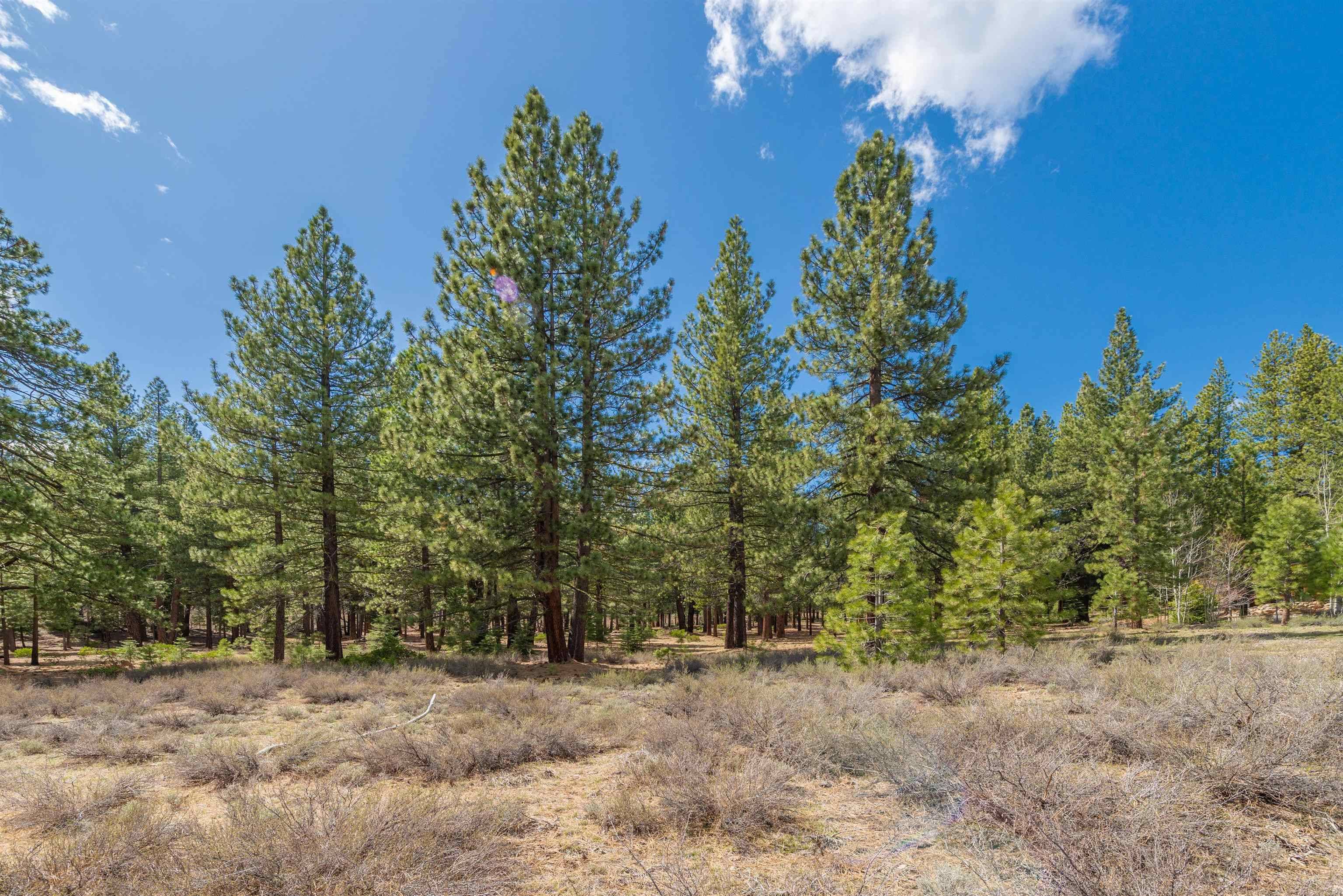 Truckee, CA 96161,11690 Bottcher Loop