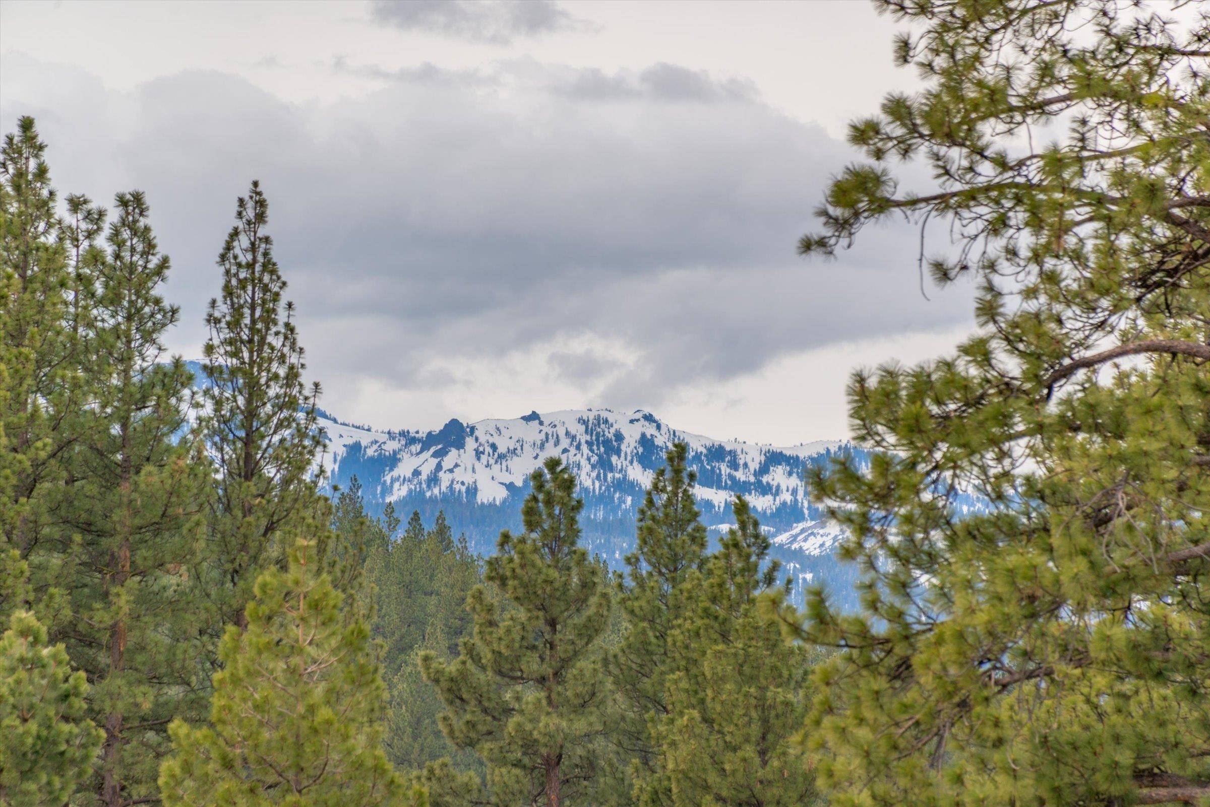 Truckee, CA 96161,15518 Chelmsford Circle