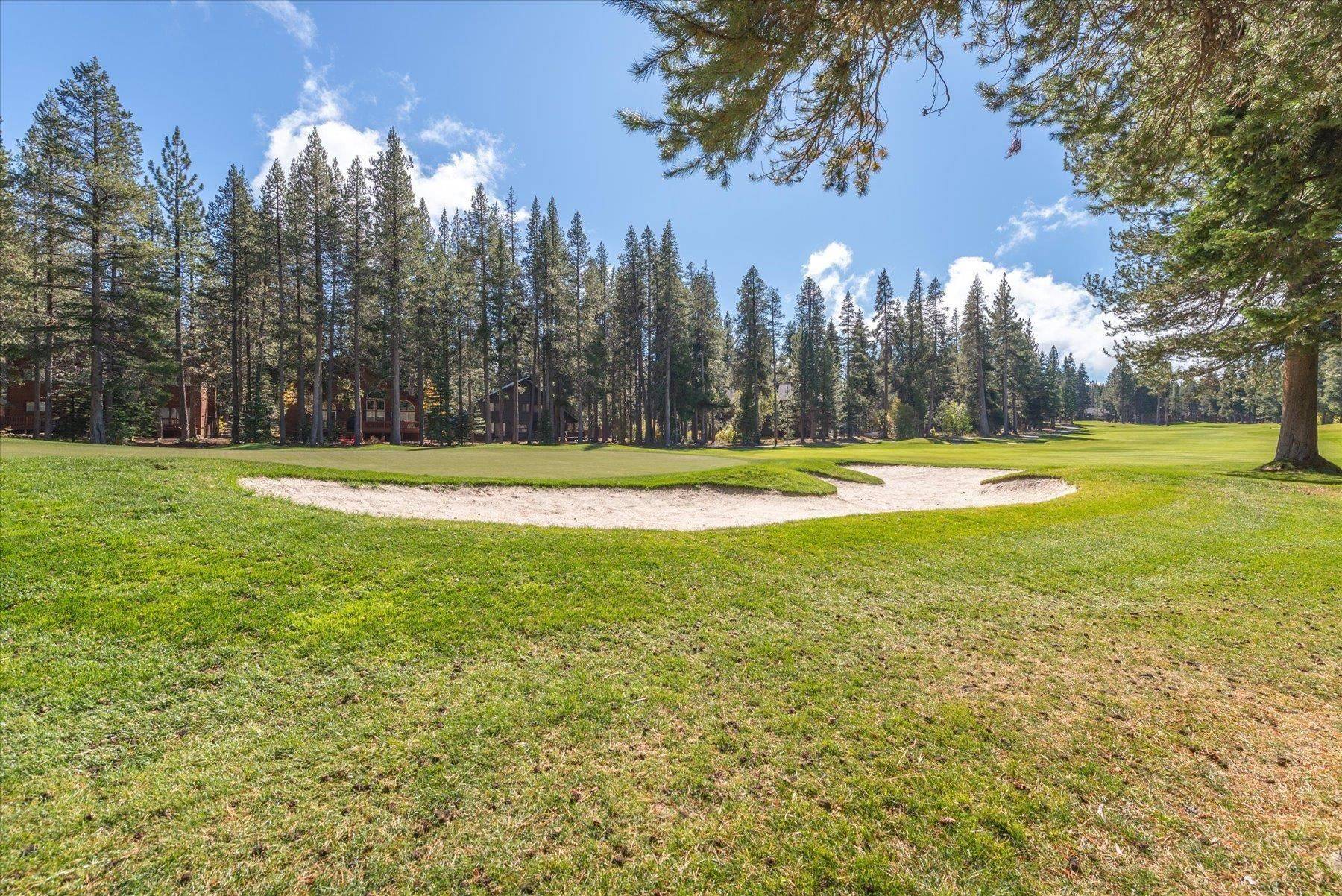 Truckee, CA 96161,14036 Skiview Loop