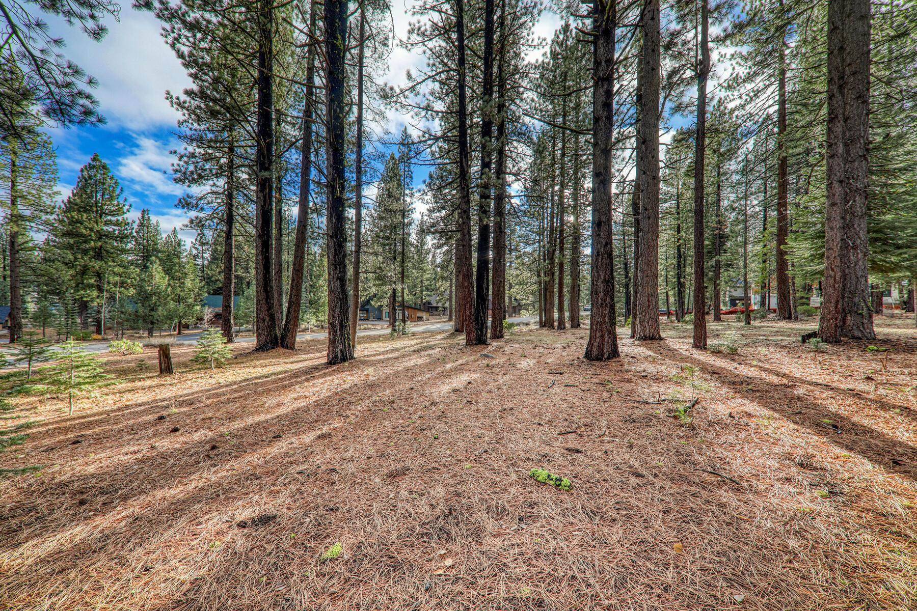 Truckee, CA 96161,12492 Granite Drive