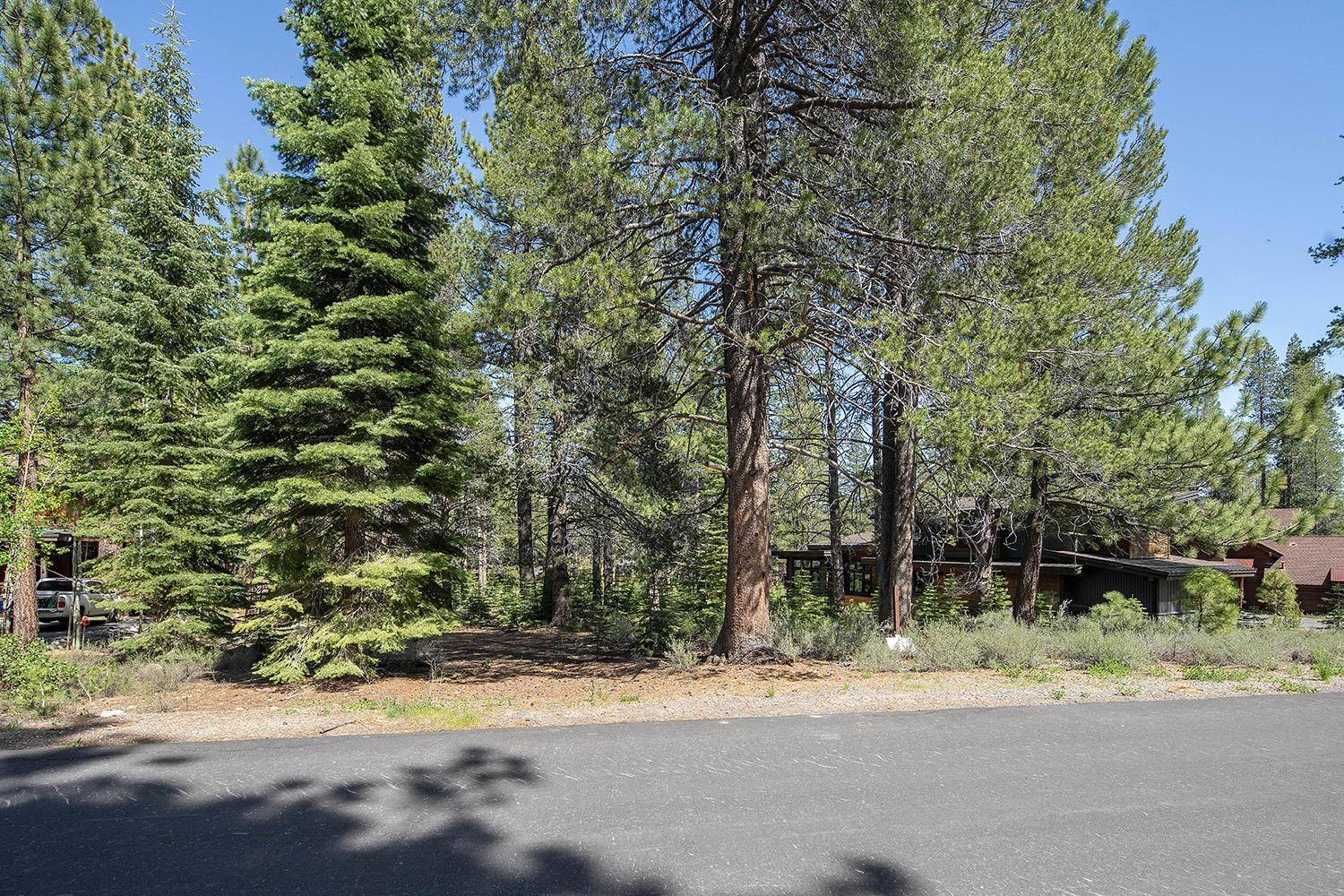 Truckee, CA 96161,11841 Bottcher Loop