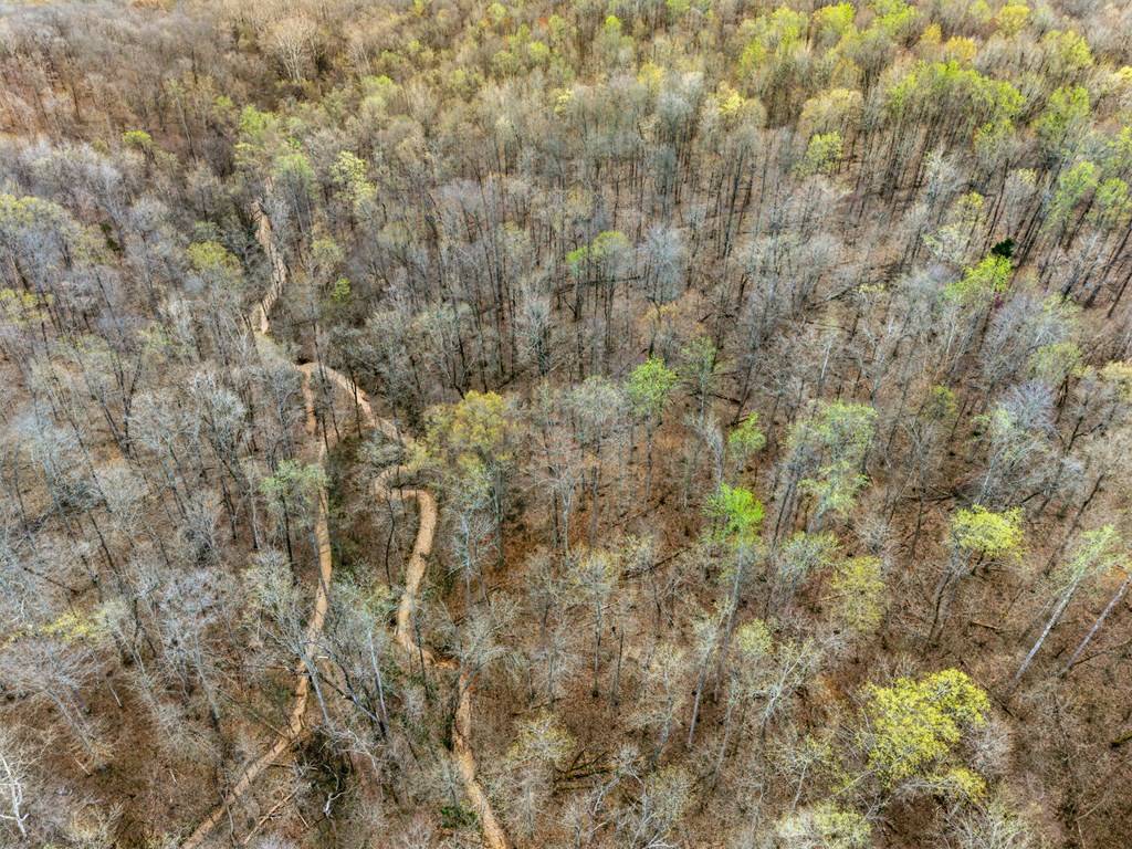 Cadiz, KY 42211,4220 Will Jackson Rd