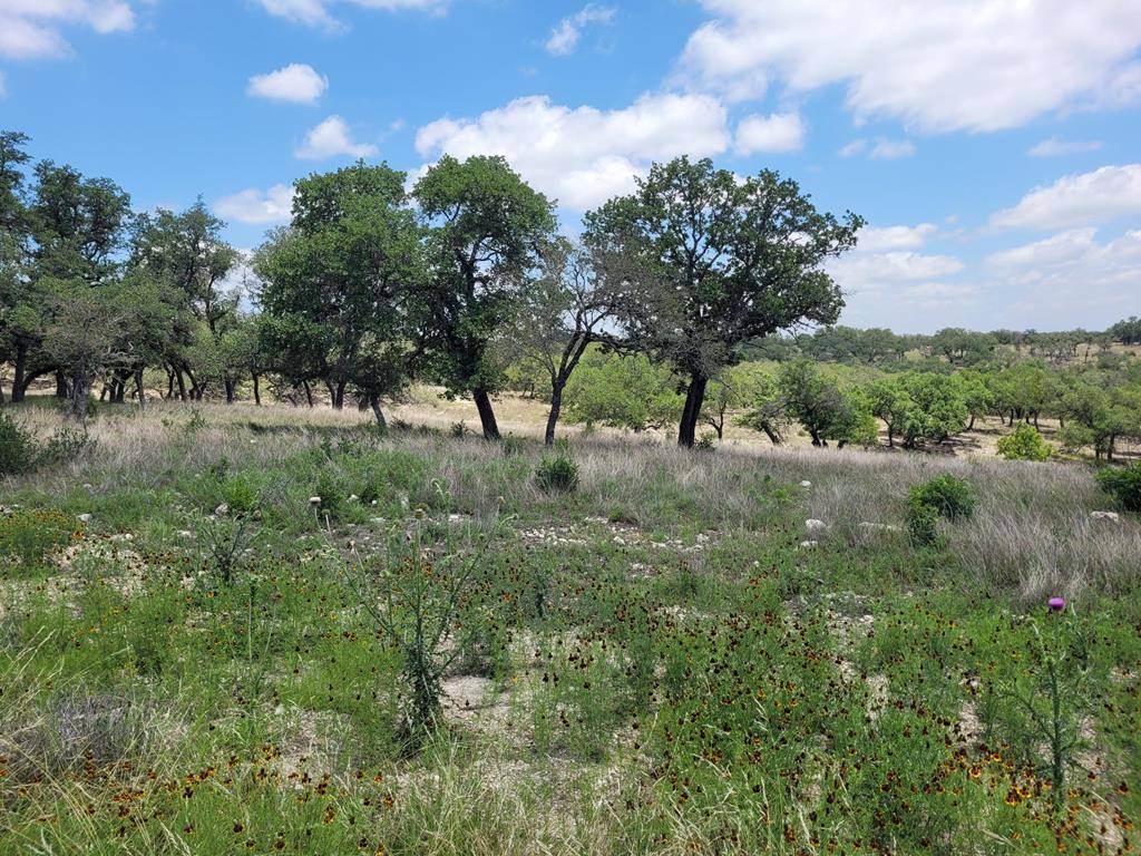 Kerrville, TX 78028,0019 Mayers Ridge Dr