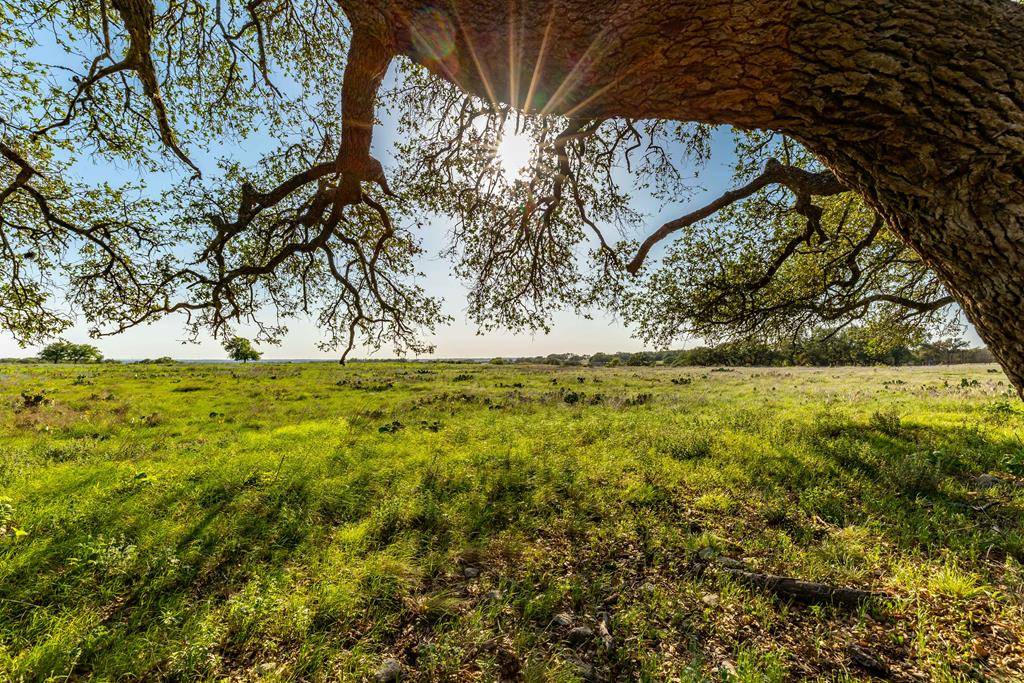 Kerrville, TX 78028,LOT 168 Other