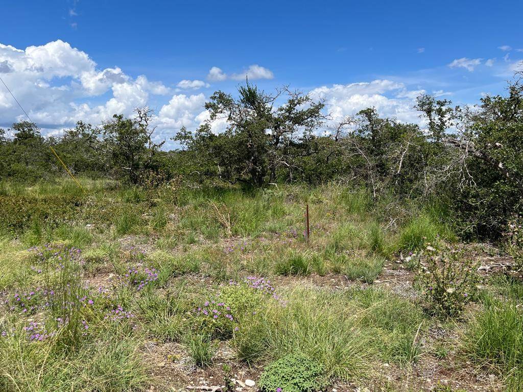 Harper, TX 78631,Lot 15 Sweetwind