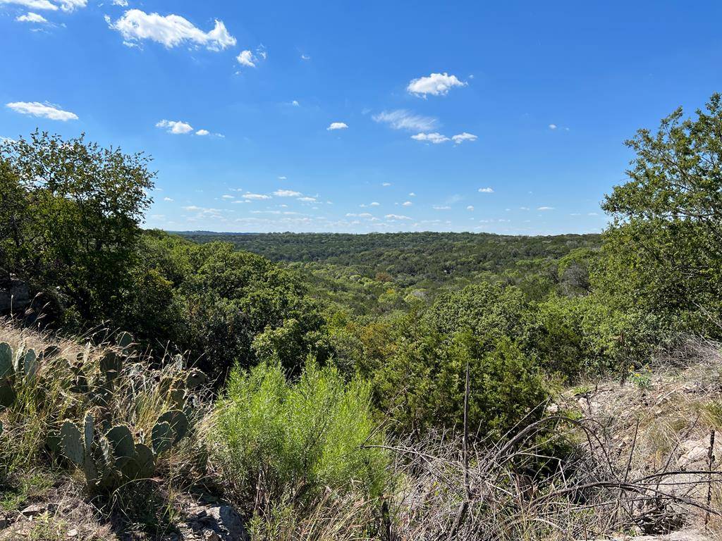 Hunt, TX 78024,125 Deer Haven