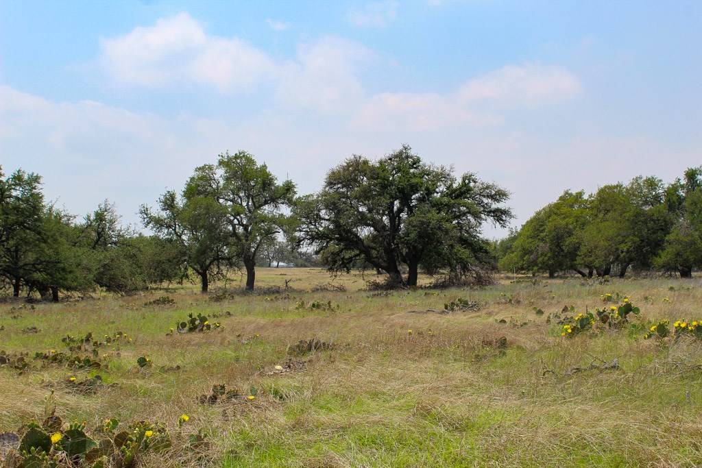 Harper, TX 78631,187 Elan Lane