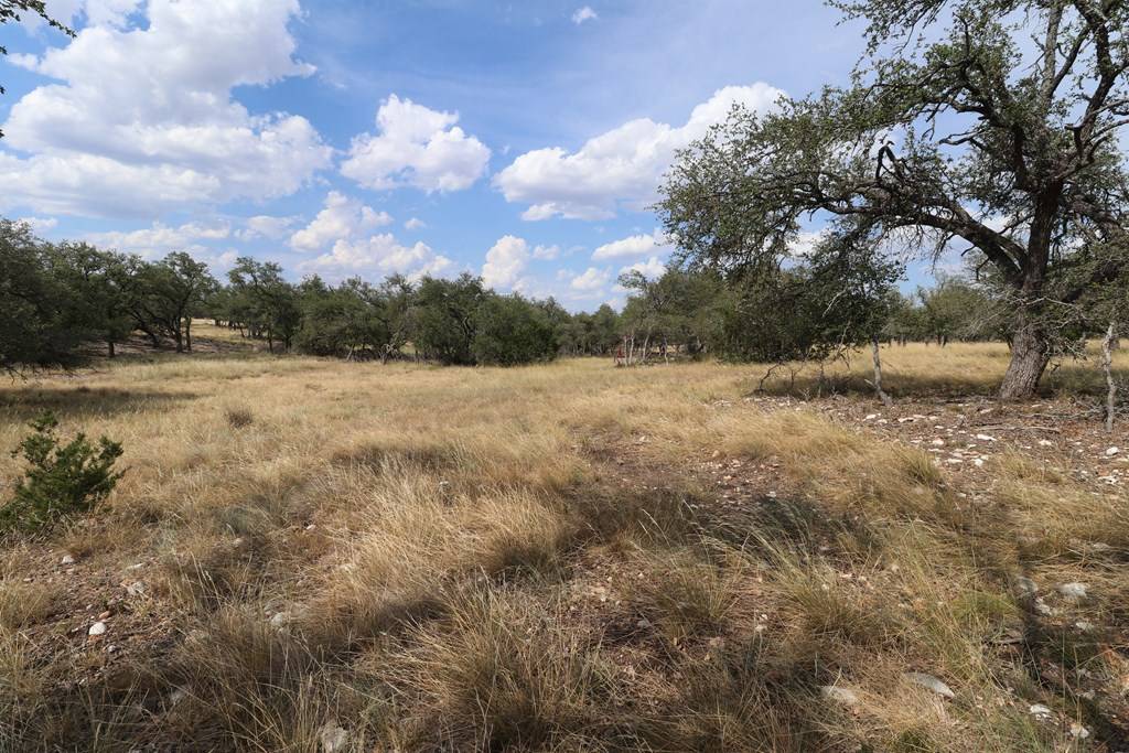 Harper, TX 78631,97 & 107 Nott Branch Rd