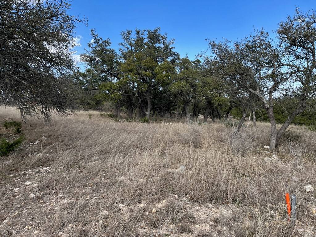 Kerrville, TX 78028,lot 18 Cattlemans Crossing Dr