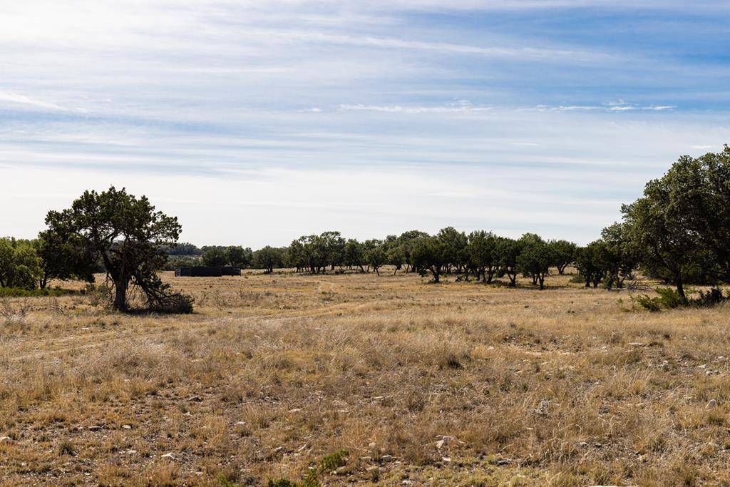 Roosevelt, TX 76849,0 CR 650