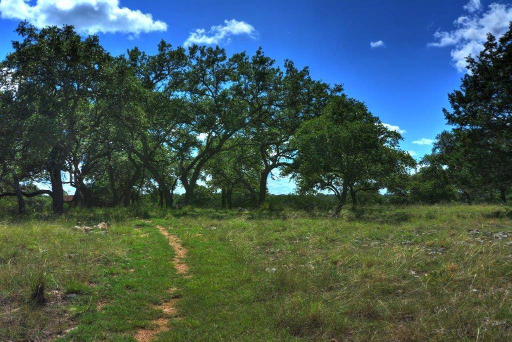 Kerrville, TX 78028,142 Four Bears Trail
