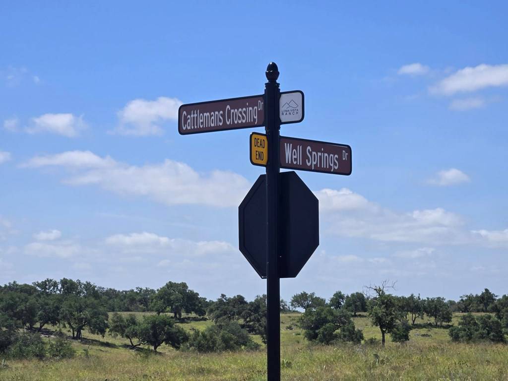 Kerrville, TX 78028,79 Cattlemans Crossing Dr