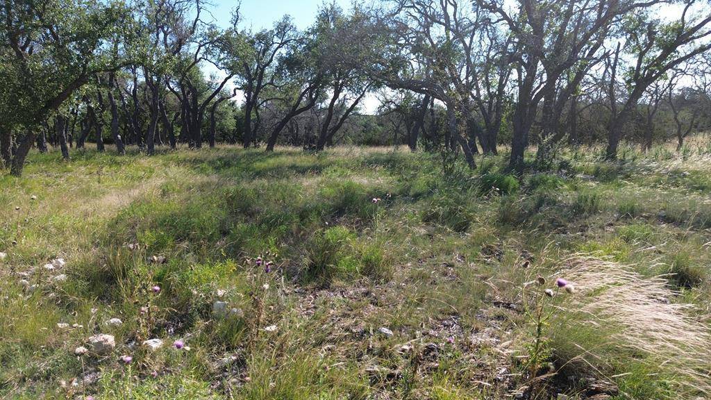 Mountain Home, TX 78058,Lot 10 Other