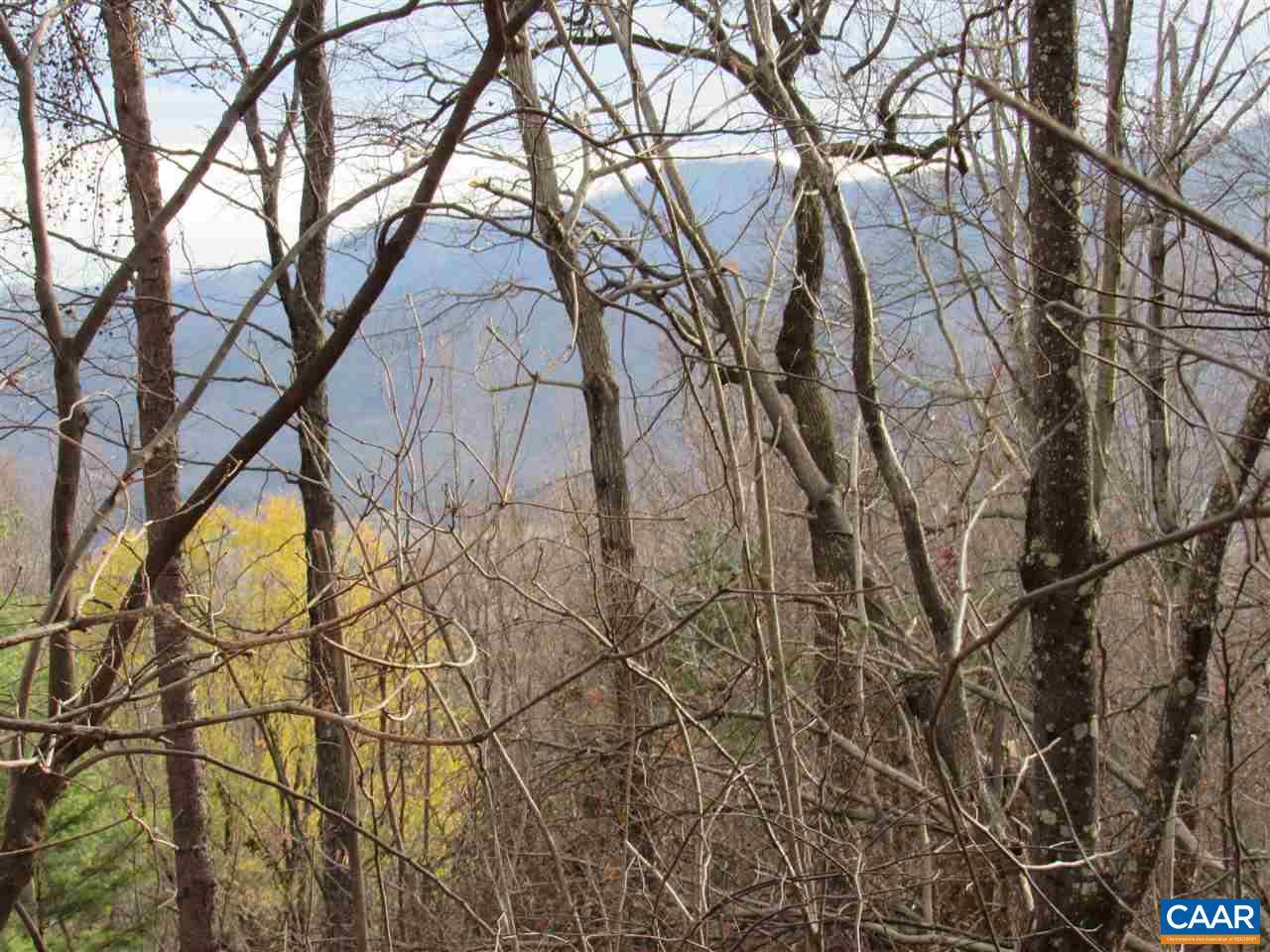 Wintergreen, VA 22958,1351 BLACK WALNUT DR