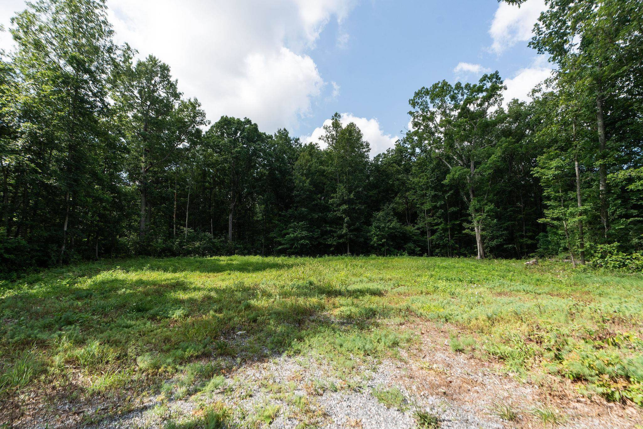 Crimora, VA 24431,TBD CRIMORA MINE RD