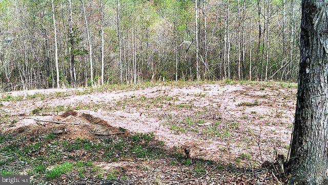Bumpass, VA 23024,0 CURLEY LN