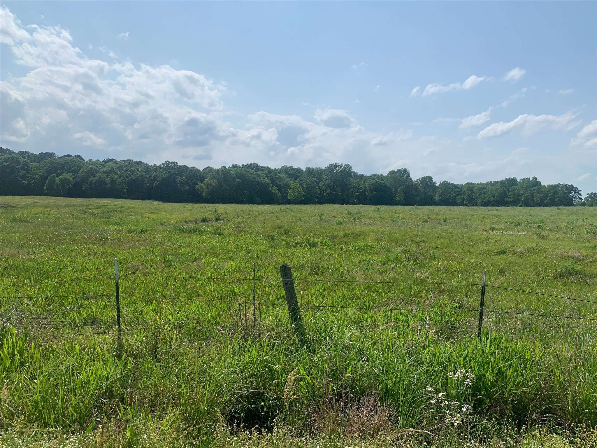 Mount Pleasant, TX 75455,00000000 CR 1660