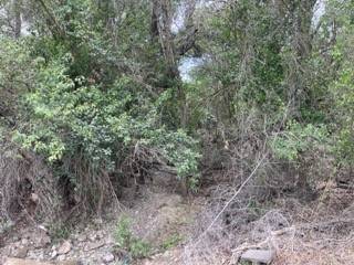 Early, TX 76802,tbd Homewood CIR