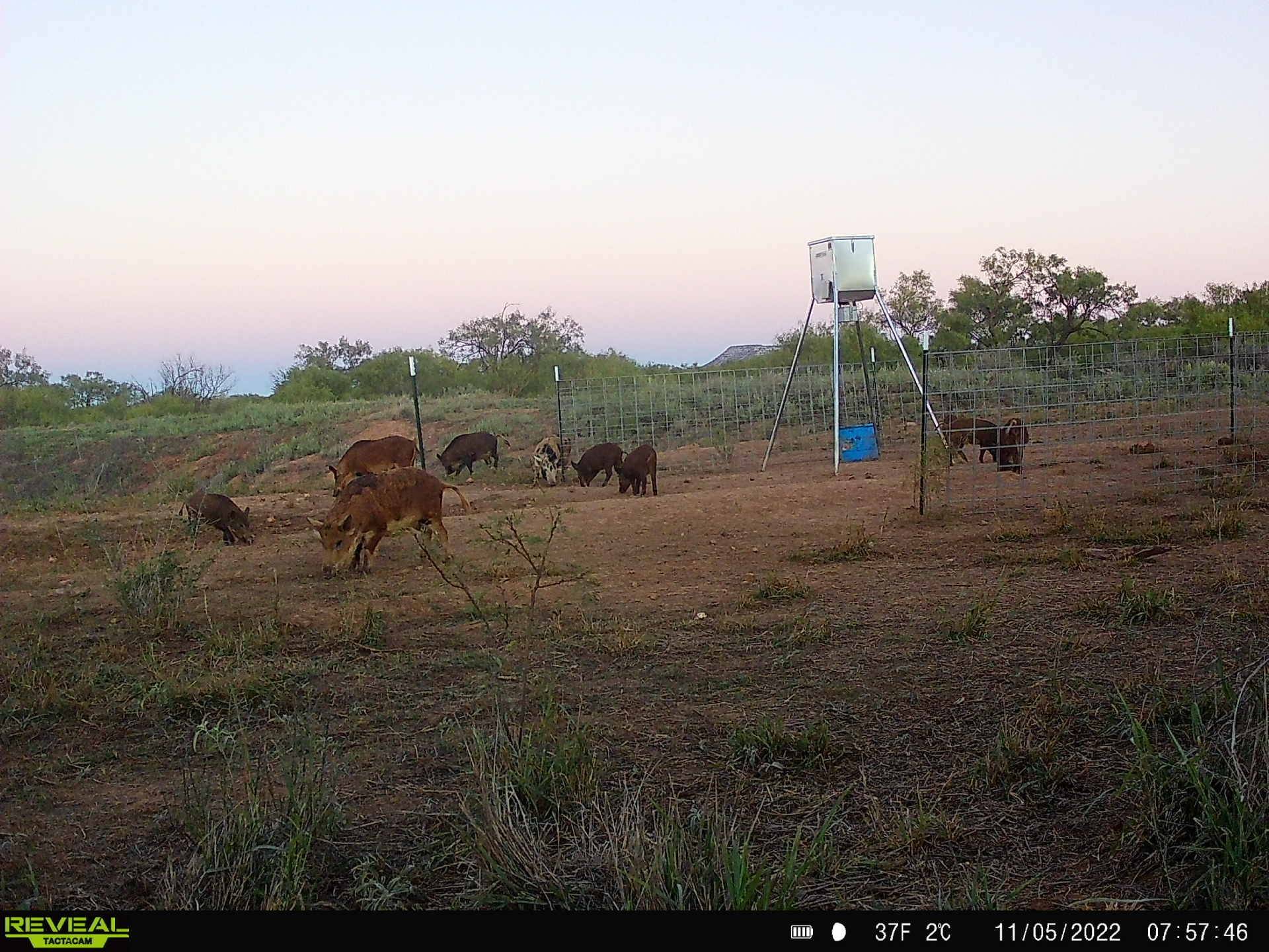 Bronte, TX 76933,TBD U S Highway 277
