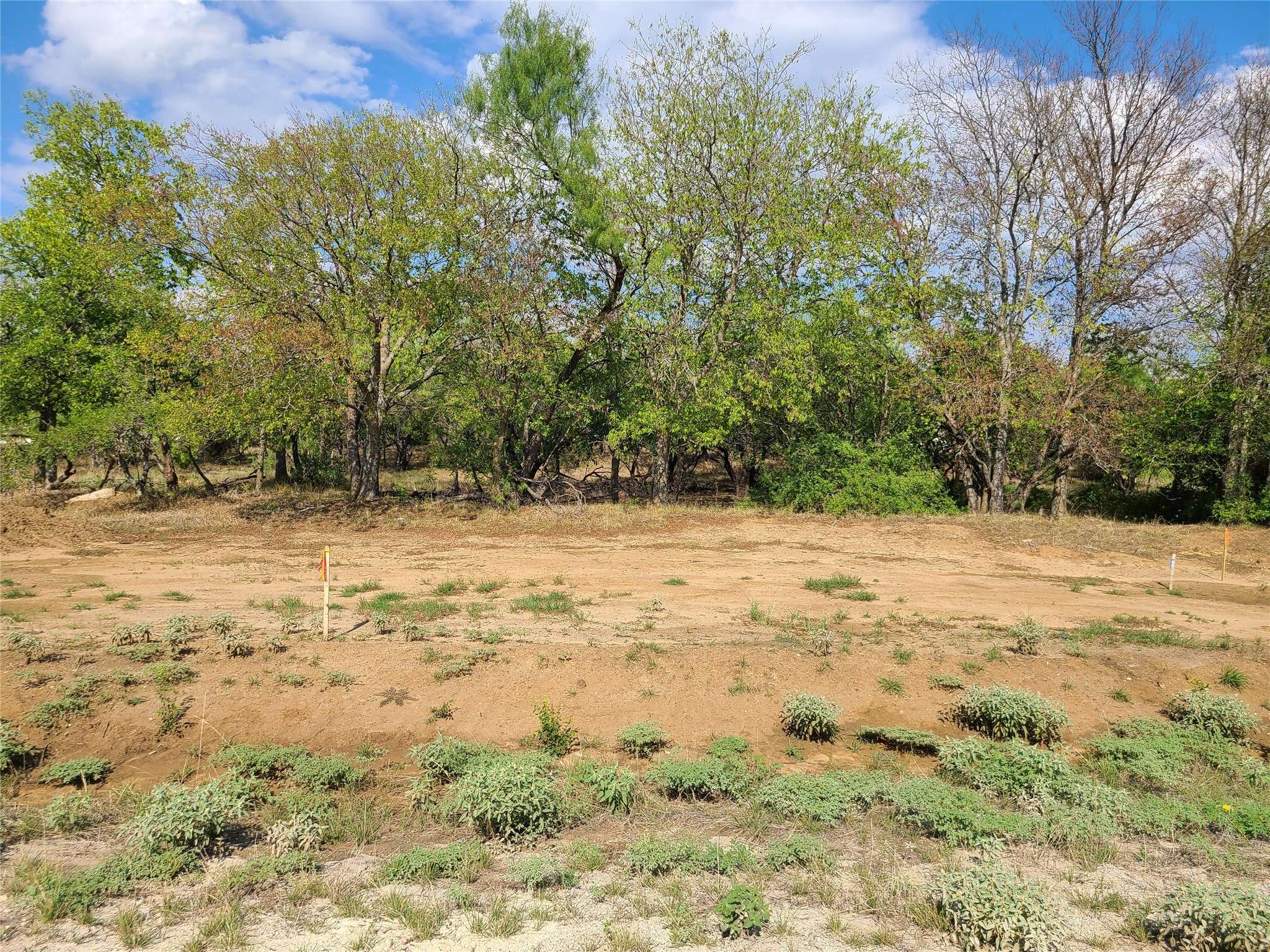 Joshua, TX 76031,4700 Coyote CT