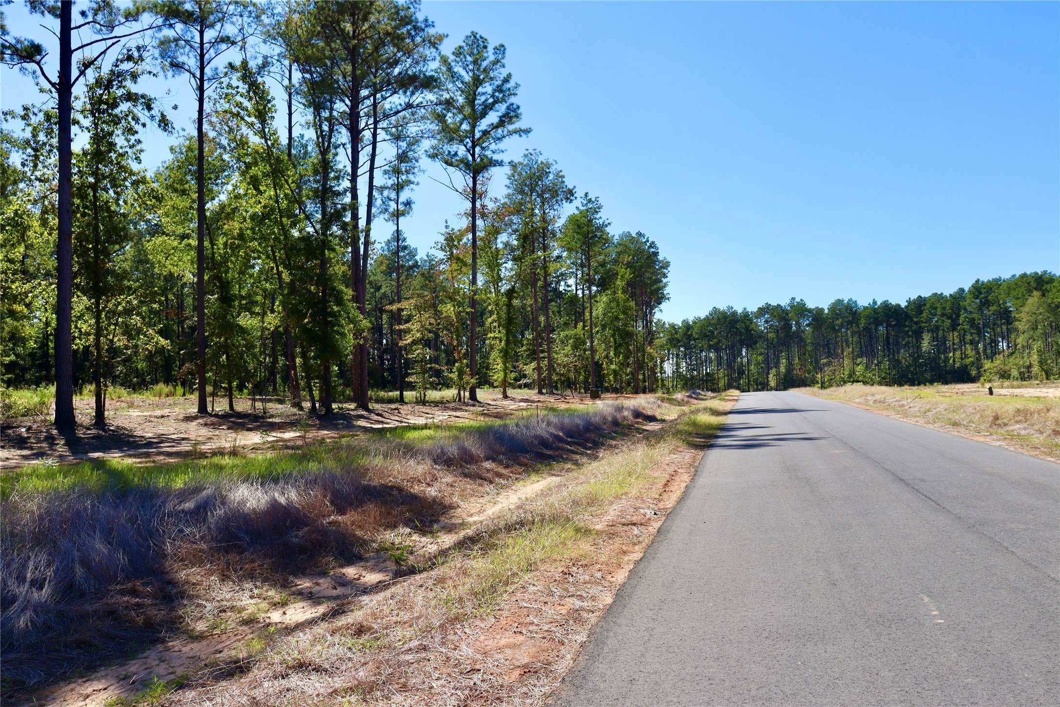 Princeton, LA 71067,230 Mercy WAY #78