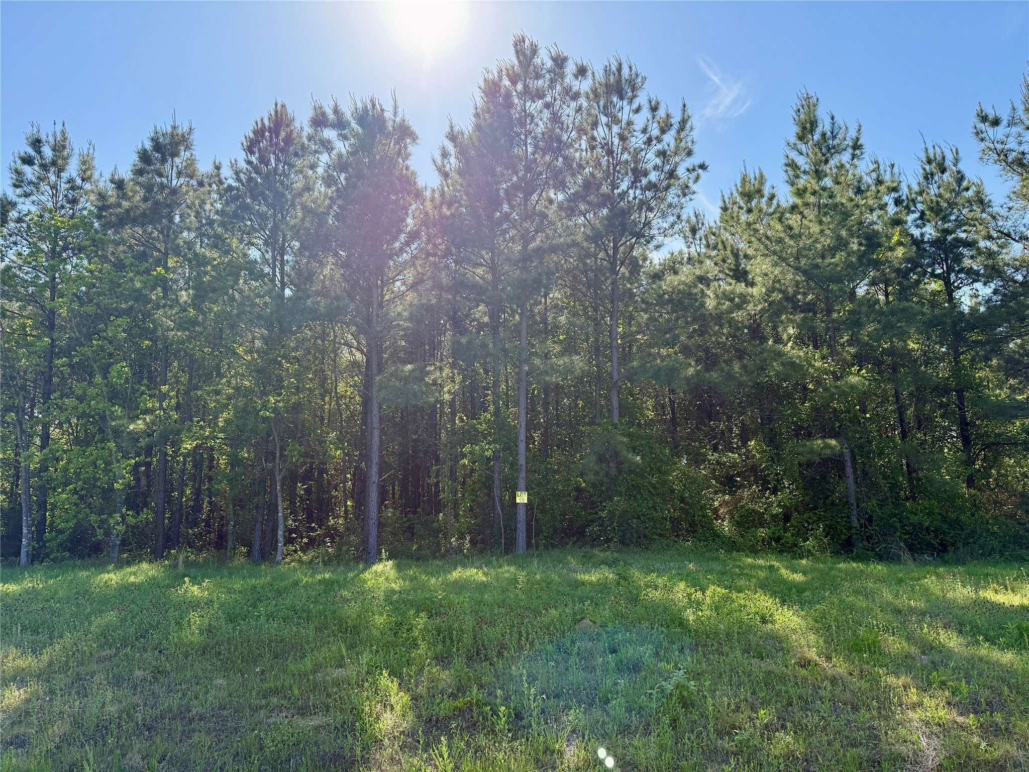 Princeton, LA 71067,232 Chapel Creek DR #19