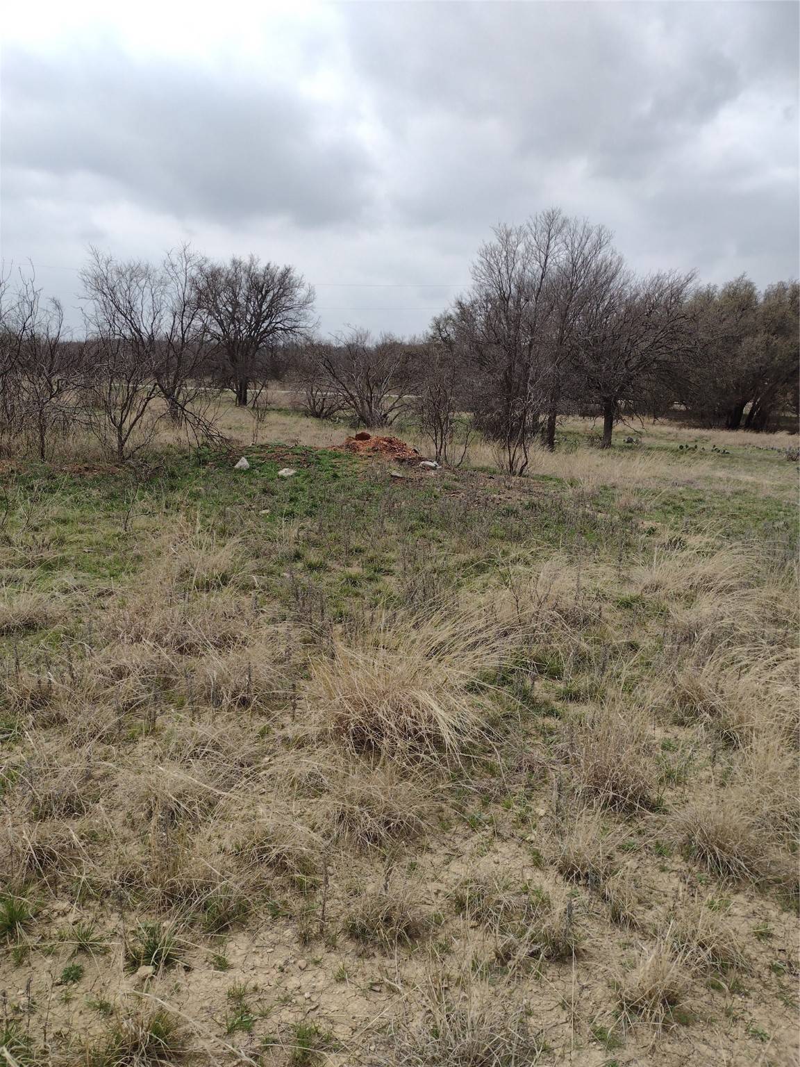Brownwood, TX 76801,LOT #741 - Downhaul WAY