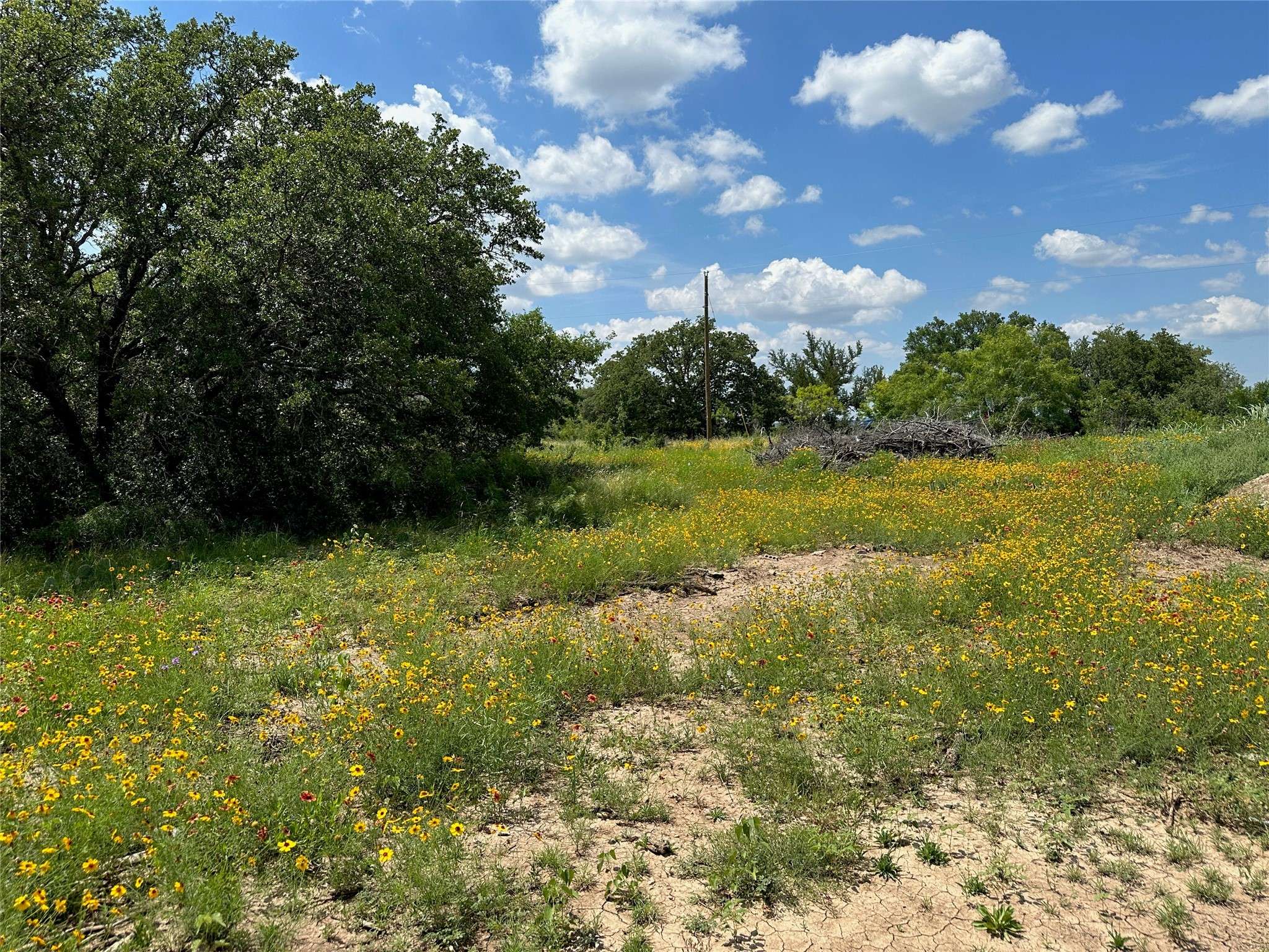 Brownwood, TX 76801,TBD1018 Lake Breeze DR