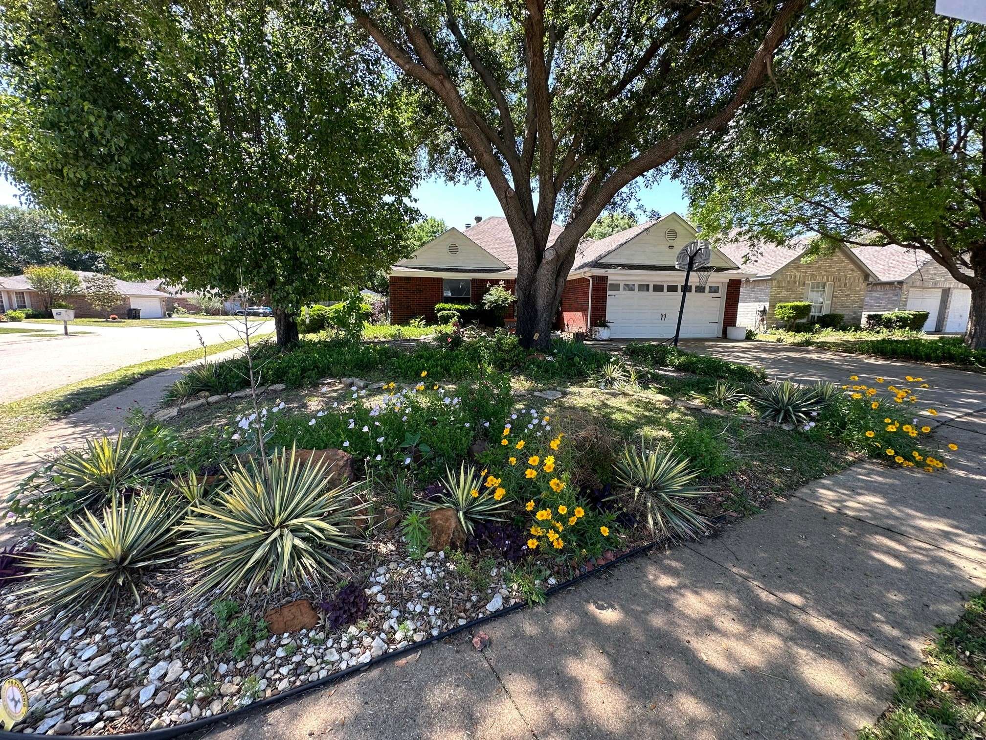 Euless, TX 76040,1216 Princeton PL
