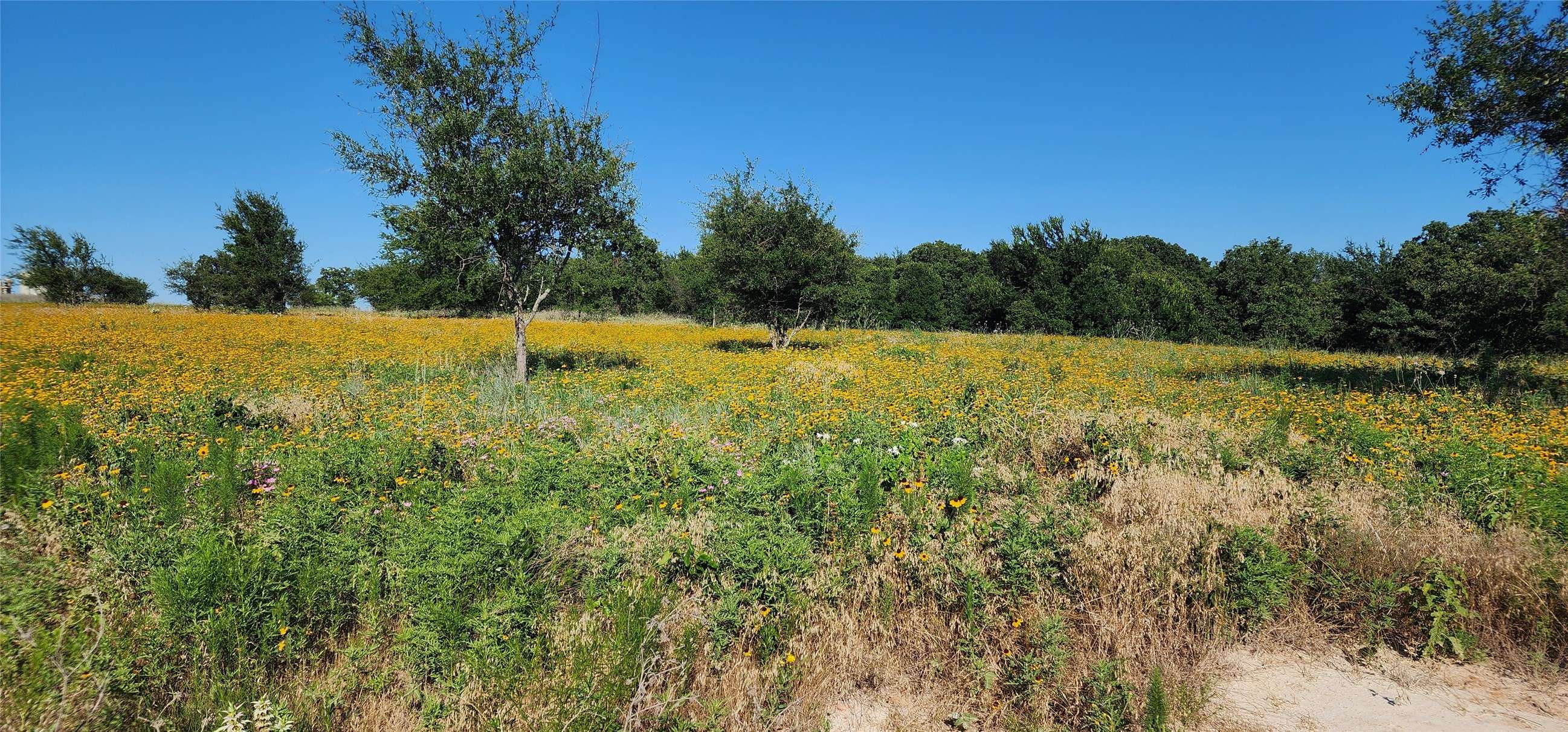 Springtown, TX 76082,1080 Gonzollas RD