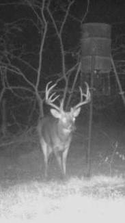 Collinsville, TX 76233,3618 Hog Town RD