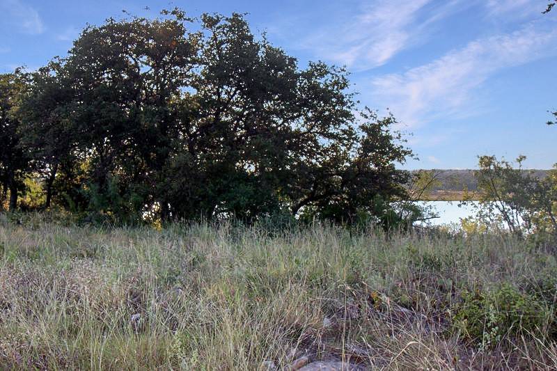 Brownwood, TX 76801,TBD Summer Wind DR