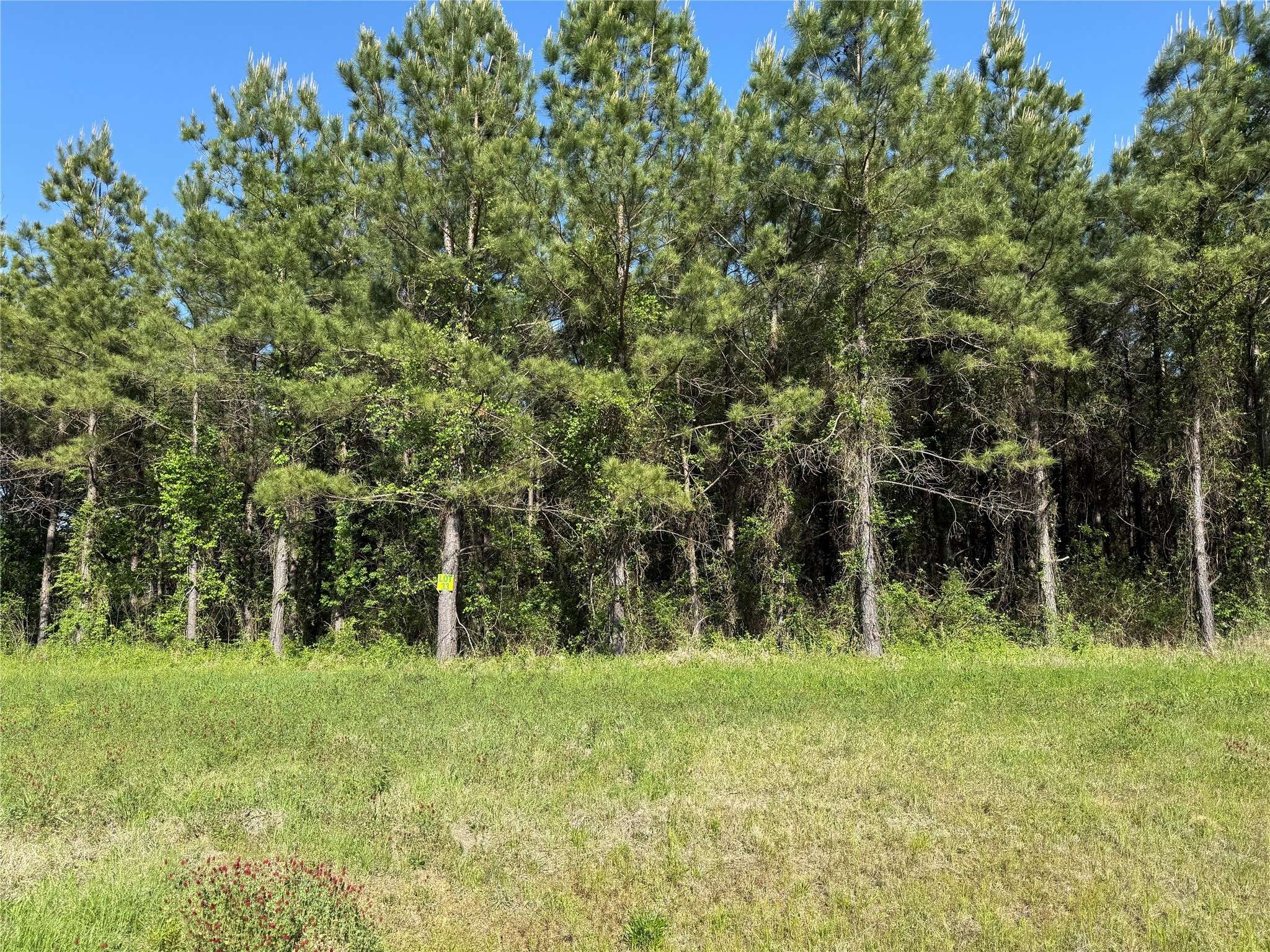 Princeton, LA 71067,204 Chapel Creek DR #33