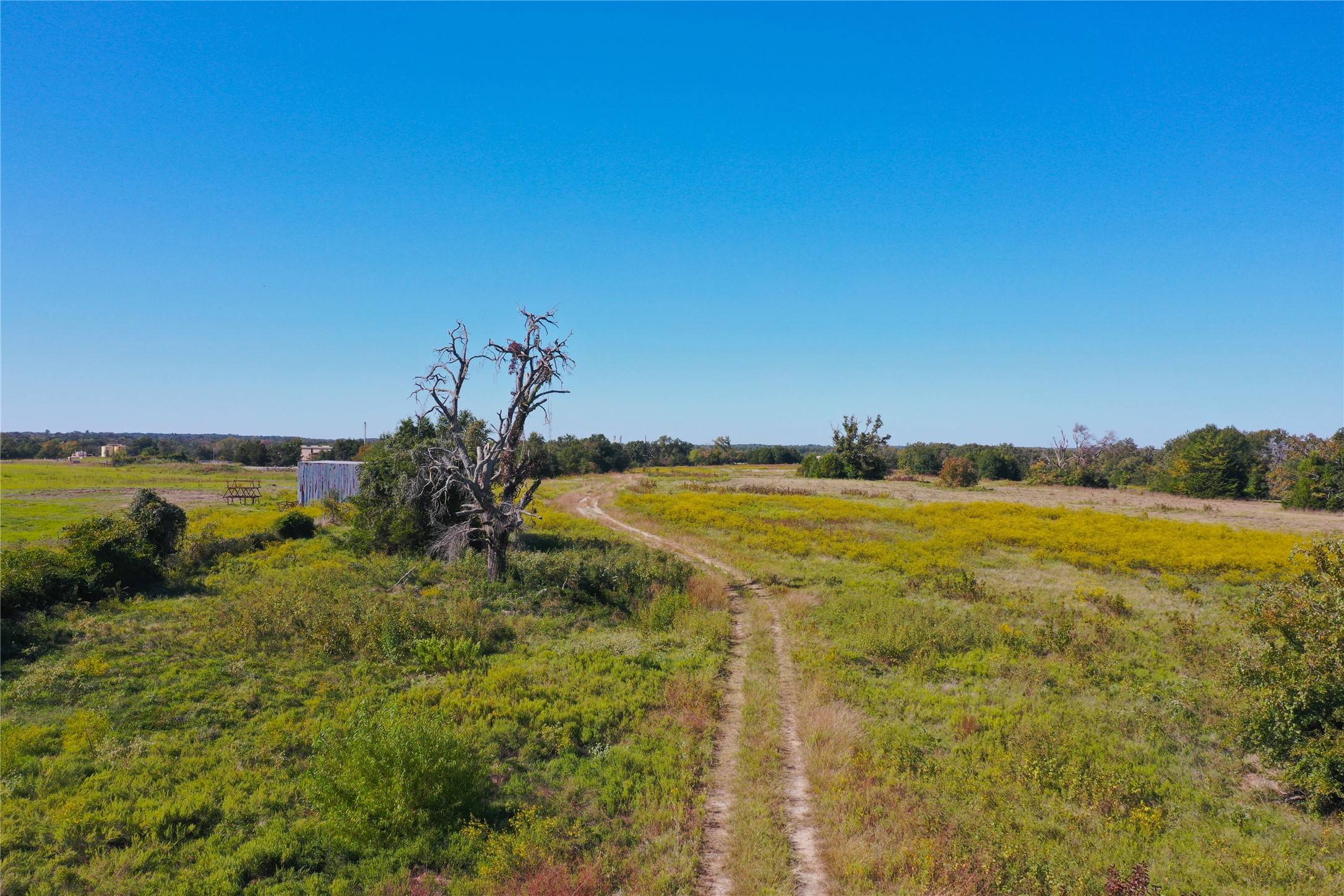 Teague, TX 75860,TBD County Road 660