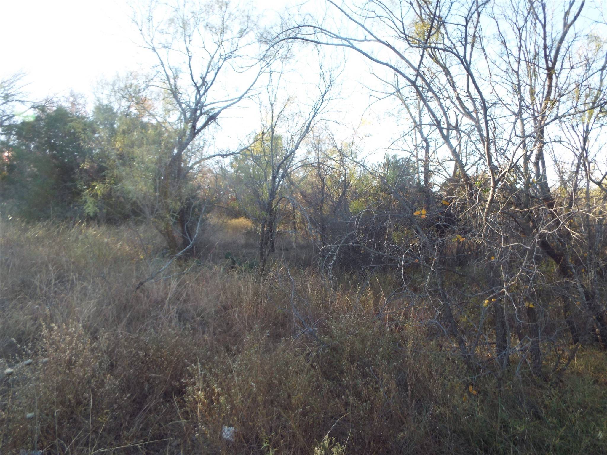 Brownwood, TX 76801,TBD Clifden DR
